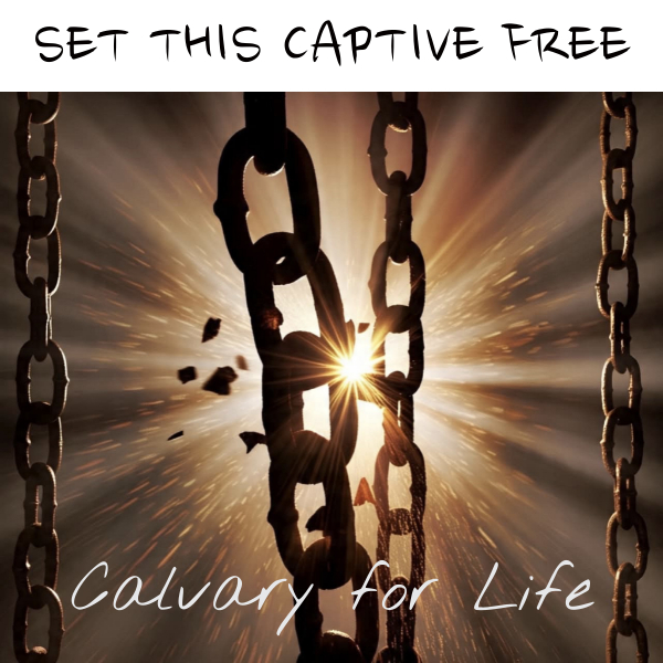 Set this Captive Free